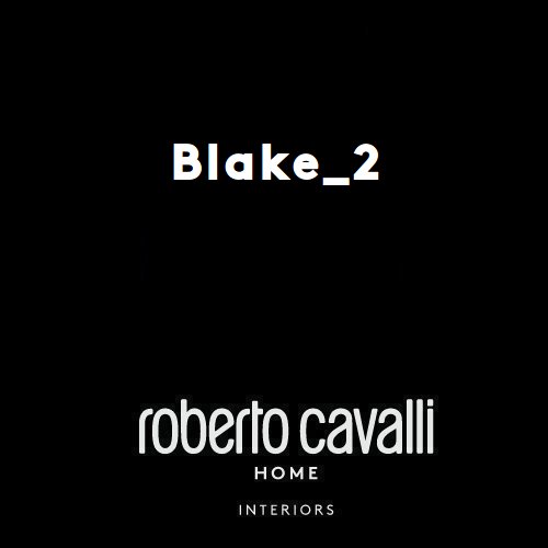 italy01 Roberto Cavalli Home Interiors download Blake2 sofa technical sheet