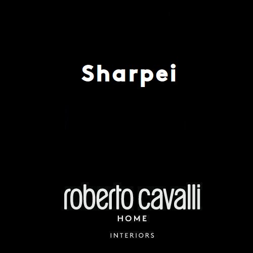 italy01 Roberto Cavalli Home Interiors download Sharpei sofa technical sheet